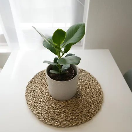 Bijou With Ambiance Near Appartement Faulensee