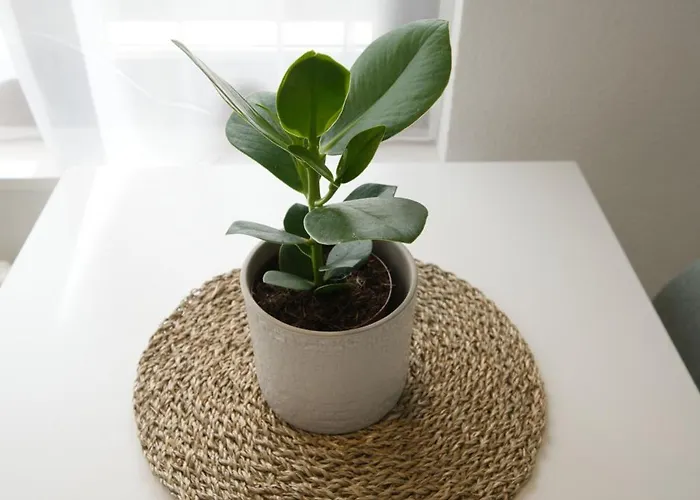 Bijou With Ambiance Near Appartamento Faulensee